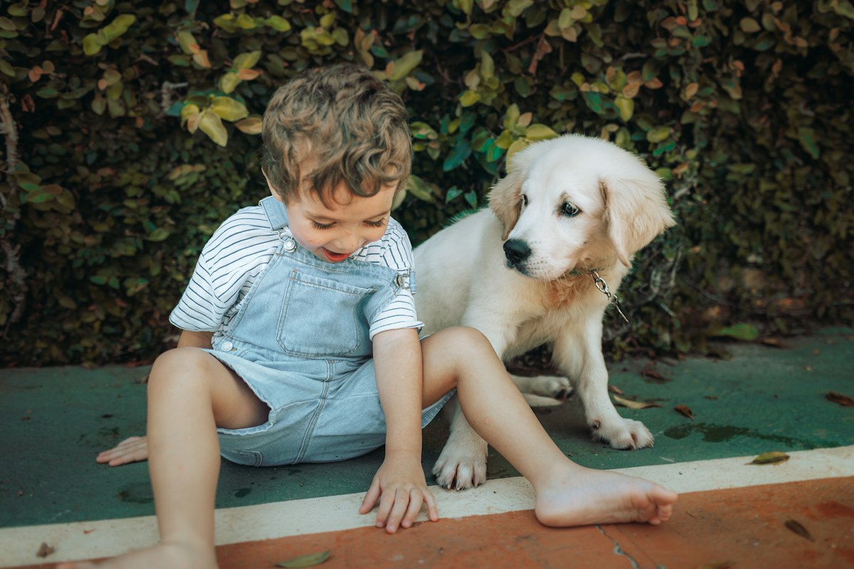 Meeting a Friendly Puppy